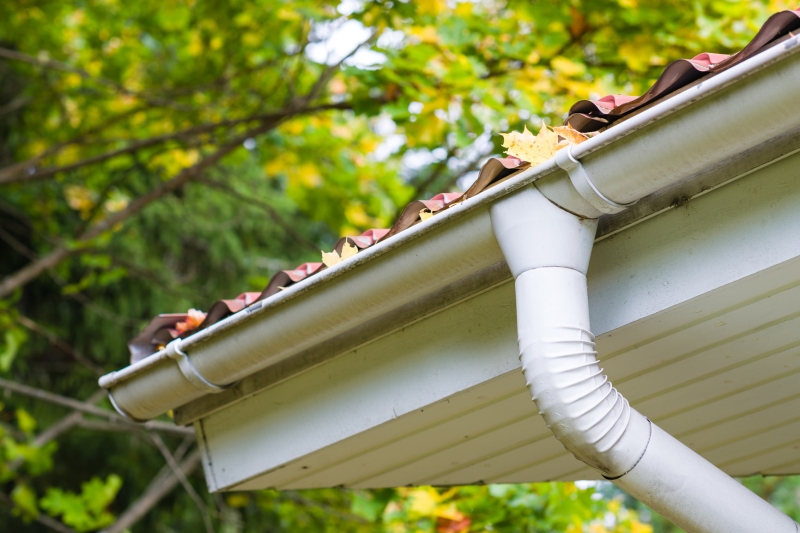 Gutter Flushing